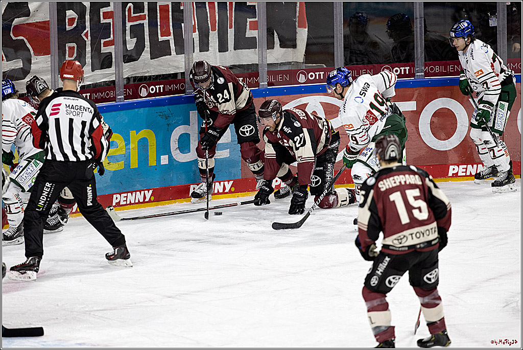 PENNY DEL;  Koelner Haie - Augsburger Panther; Koeln, 05.04.2021